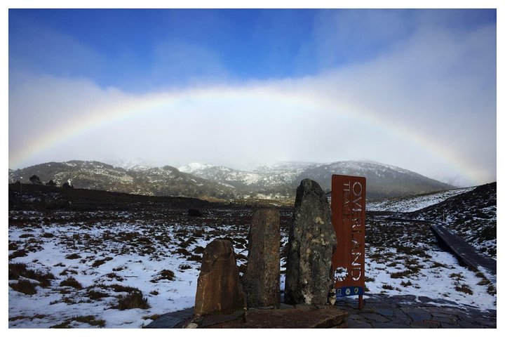 Cradle Mountain Day Tour from Launceston Including Lunch