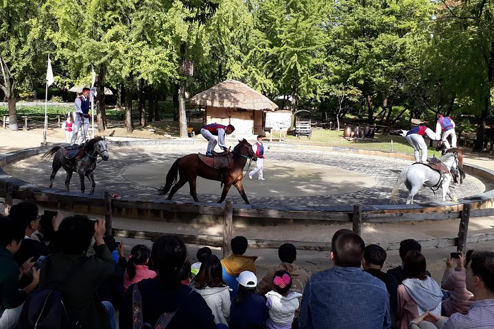 Everland Theme Park & Korean Folk Village tour (private group)