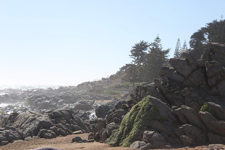 wetravelneruda’s route - Pablo Neruda’s route - Private tour