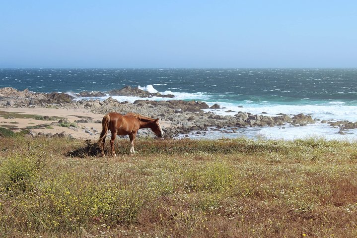 wetravelneruda’s route - Pablo Neruda’s route - Private tour