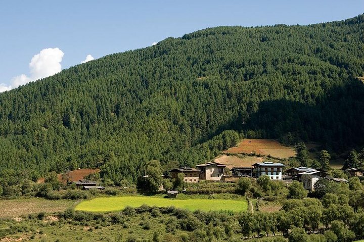 Scenic Bhutan Guided Multi-Day Tour with Airport Pickup