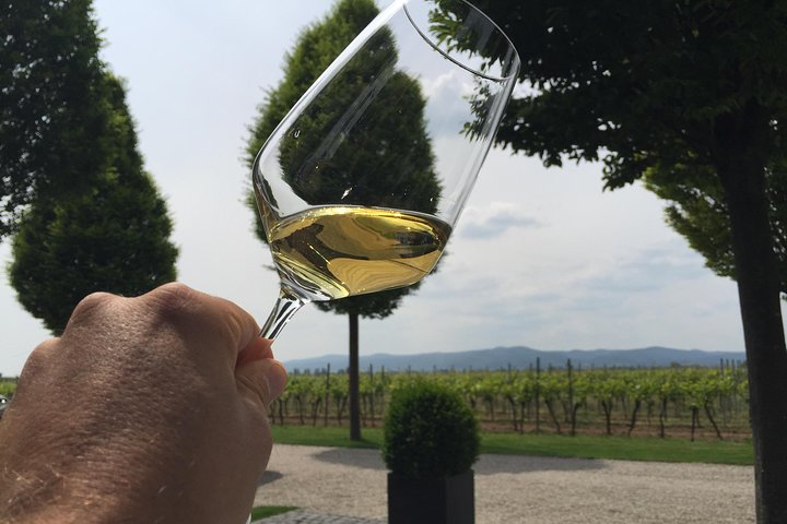 Discover Germanies best Red wines & dry Riesling in the Pfalz