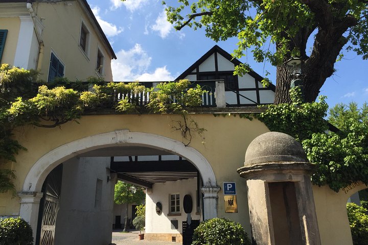 Discover Germanies best Red wines & dry Riesling in the Pfalz