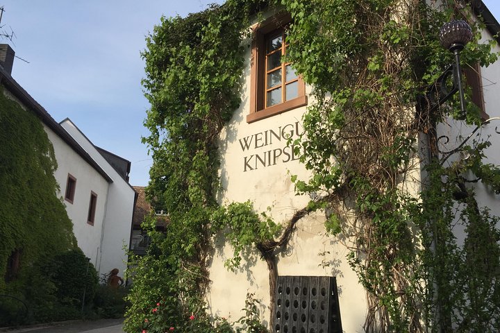 Discover Germanies best Red wines & dry Riesling in the Pfalz