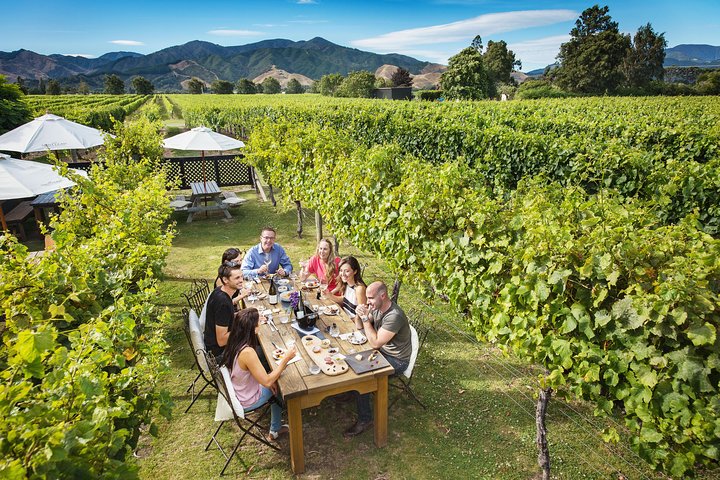Full Day Winemakers Tour in Marlborough