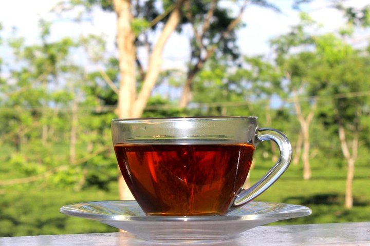 Dibrugarh Tea Tour, Singpho village with lunch, Digboi oil museum