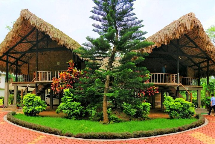 Dibrugarh Tea Tour, Singpho village with lunch, Digboi oil museum