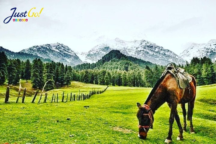 Kashmir Family Tour - 07 Days Includes Accommodation and Private Transport