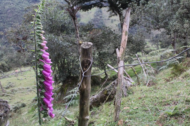 Colombia’s Tallest Waterfalls: La Chorrera Hike