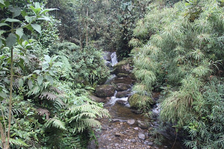 Colombia’s Tallest Waterfalls: La Chorrera Hike