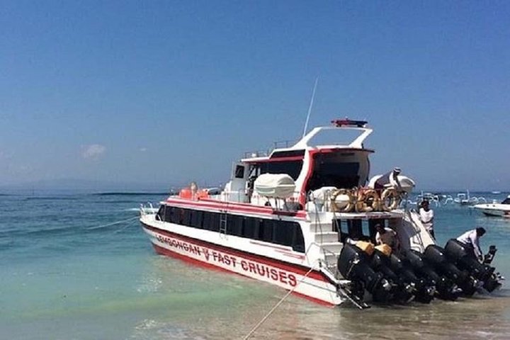 Nusa Penida One Day Trip with All-inclusive