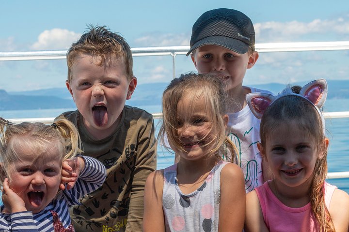 Daily Scenic Maori Rock Carving Cruise Taupo