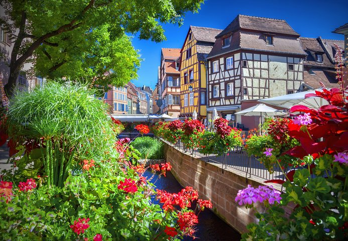 Colmar, Medieval Village & Castle Small Group from Strasbourg