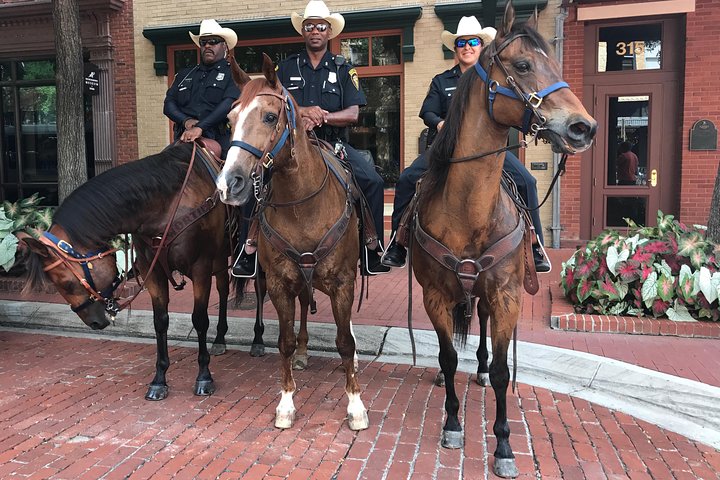 Fort Worth Highlights Tour