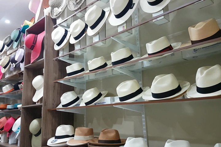 Rainforest Wildlife, Panama Hat makers, Traditional Cuisine. SHORE TOUR