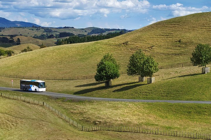 Hobbiton Day Tour from Rotorua with lunch at Hobbiton
