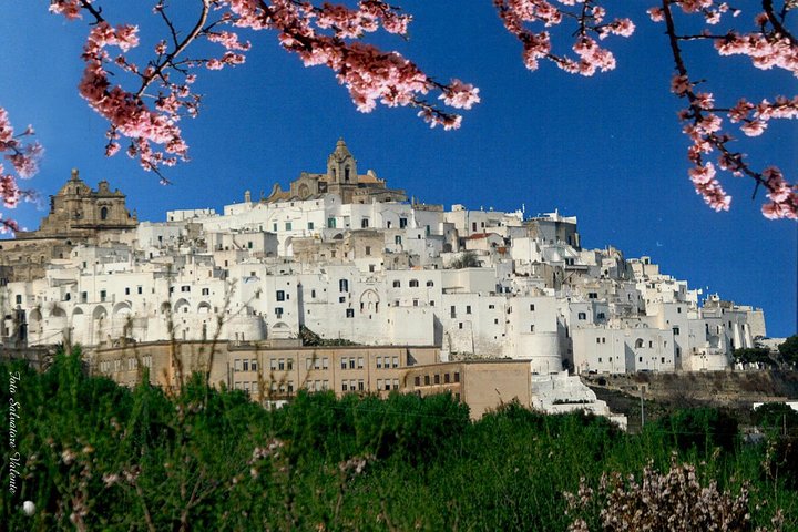 PUGLIA Tour Private Customizable Excl. with your Apulian friend
