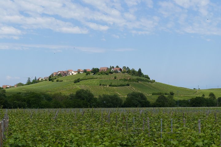Medieval Villages and Wine Tasting from Strasbourg