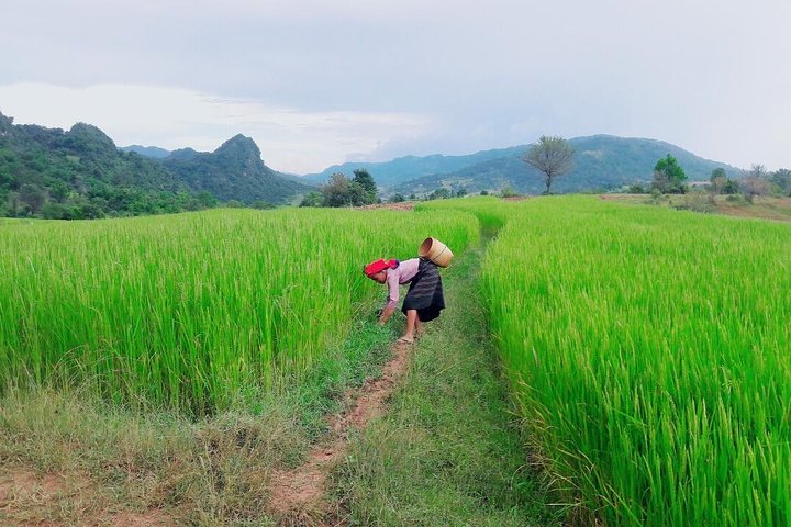 Hello, who like to make fantastic trek with the most experienced guide in Kalaw.