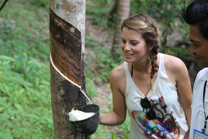 Private Koh Phangan Land Tour