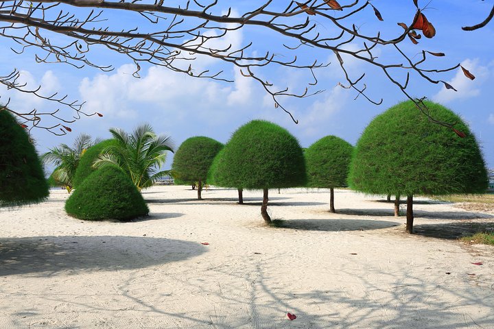 Private Koh Phangan Land Tour
