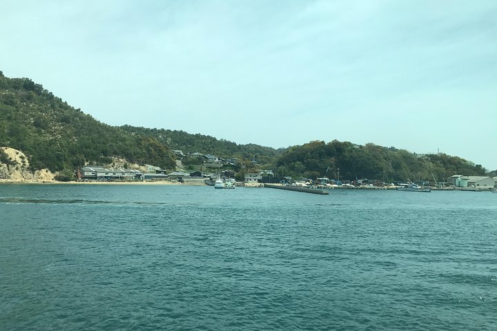 Guided Tour to Naoshima Art Island with Private Car