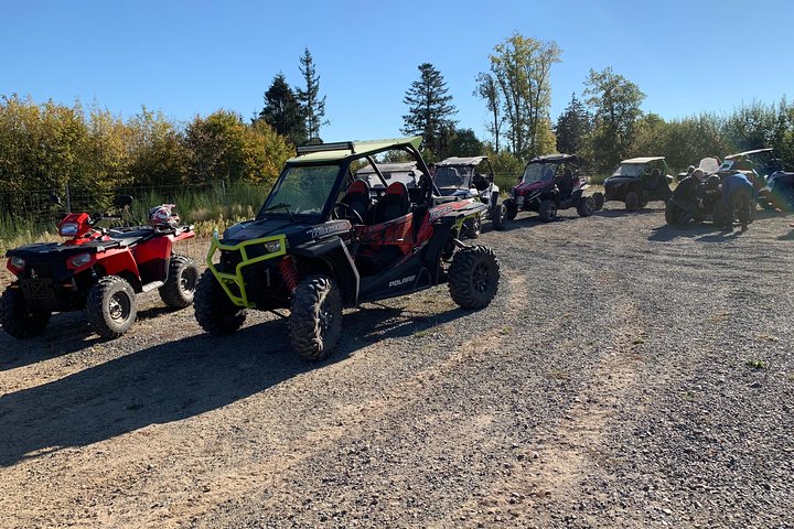 Vosges/Alsace Wine Route 4x4 Offroad