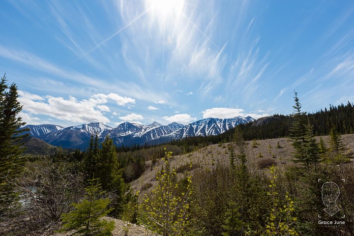Sled Dog Adventure and Pan for Gold in the Yukon