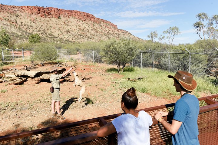 Alice Springs Desert Park General Entry Ticket