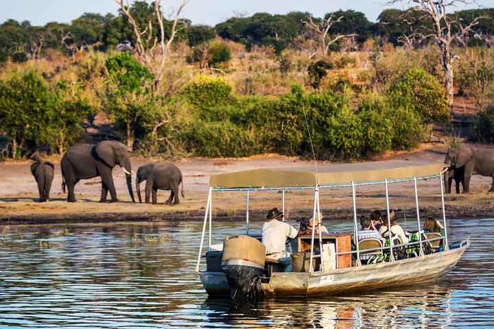 Chobe Safari Day Trip From Livingstone