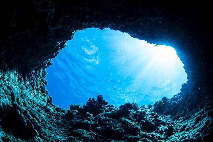 Blue Cave & Šunj Beach Small-Group Boat Tour from Dubrovnik