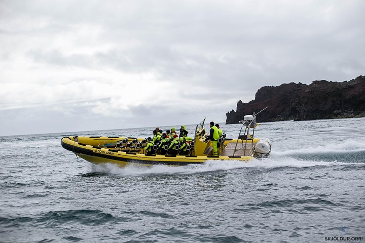 1-Hour Small Group Sightseeing Boat Tour in Vestmannaeyjar
