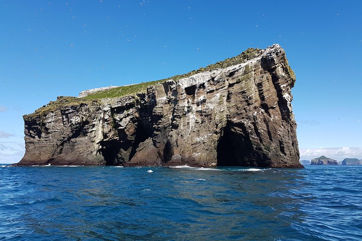 2 hour Round Trip in Vestmannaeyjar on a RIB Boat