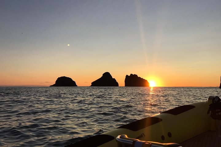 2 hour Round Trip in Vestmannaeyjar on a RIB Boat