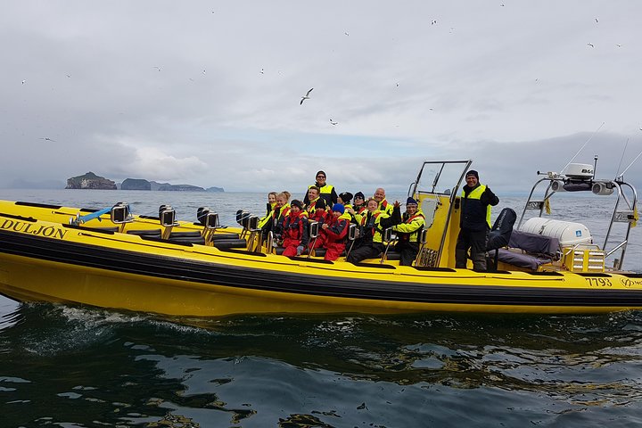 2 hour Round Trip in Vestmannaeyjar on a RIB Boat