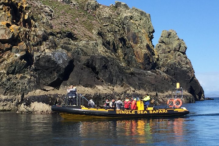 Dingle Sea Safari - Rib boat tour in Dingle Bay
