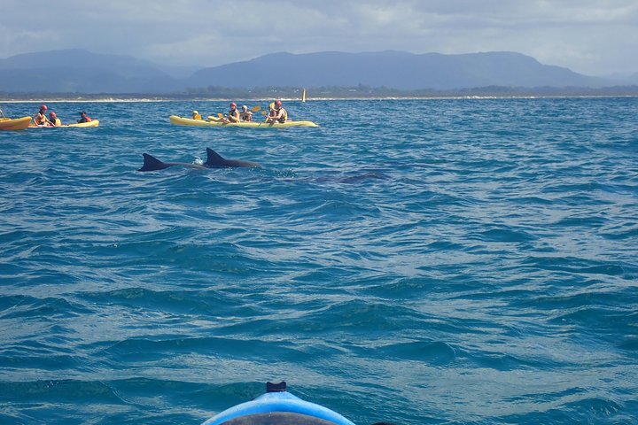 The Byron Bay Sea Kayak Tour