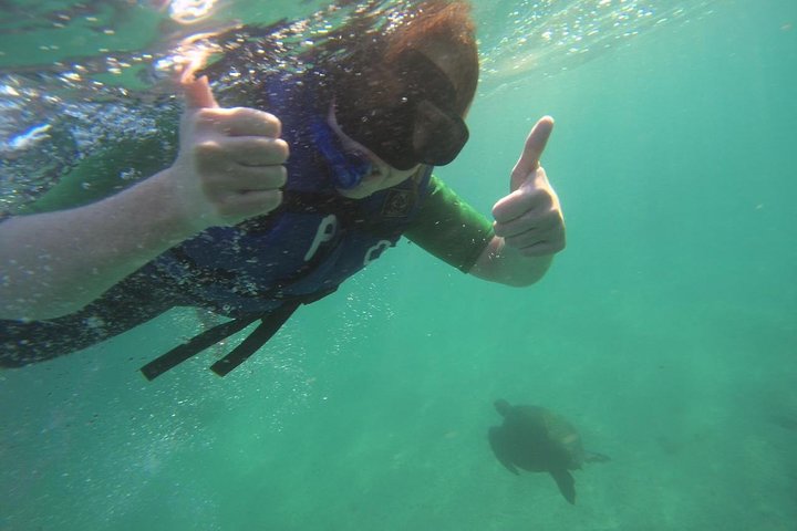 Los Túneles Snorkeling Tour from Isabela Island