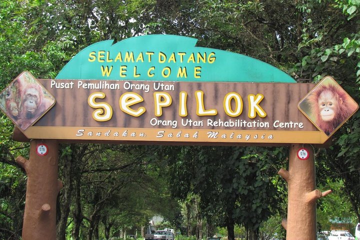 Day Trip Sepilok Orang Utan & Bornean Sun Bear (Flight Excluded)