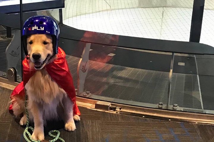 Phoenix Indoor Skydiving Experience with 2 Flights & Personalized Certificate