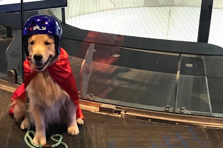 Kansas City Indoor Skydiving Admission with 2 Flights & Personalized Certificate