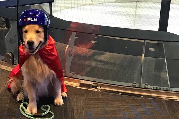 Baltimore Indoor Skydiving Experience with 2 Flights & Personalized Certificate