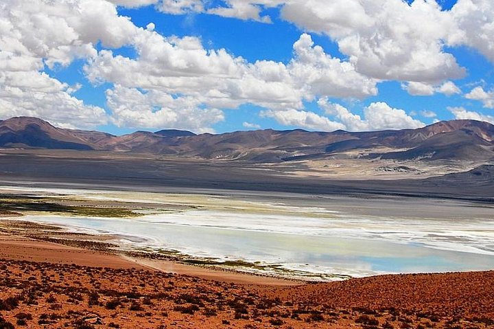 Iquique, Salar del Huasco National Park - Full day
