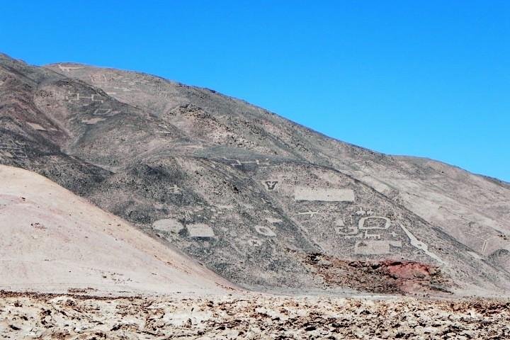 Iquique, Salar del Huasco National Park - Full day