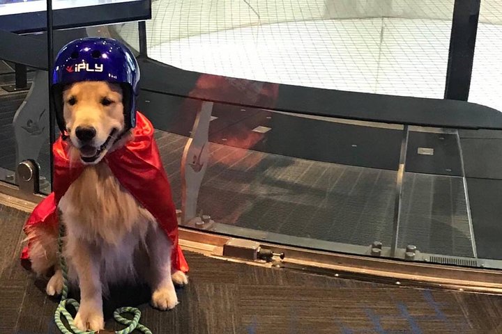Minneapolis Indoor Skydiving Admission with 2 Flights & Personalized Certificate