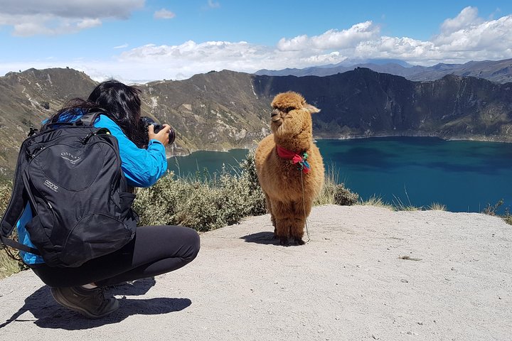 Cotopaxi & Quilotoa Volcanoes Tour All-in-One Day Trip from Quito
