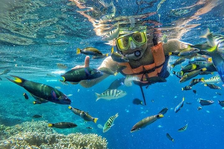 East Java Exotic Day Tour: Menjangan & Tabuhan Island Open Trip from Banyuwangi