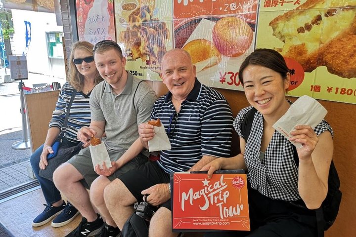 Kamakura Historical Walking Tour with the Great Buddha