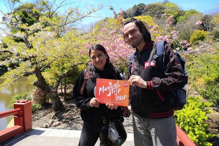 Kamakura Historical Walking Tour with the Great Buddha