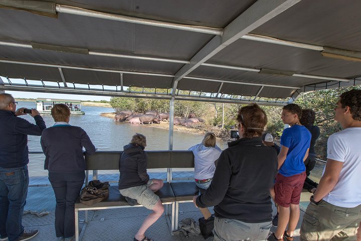 Shoreline Hippo and Crocodile Boat Cruises, iSimangaliso Wetland Park